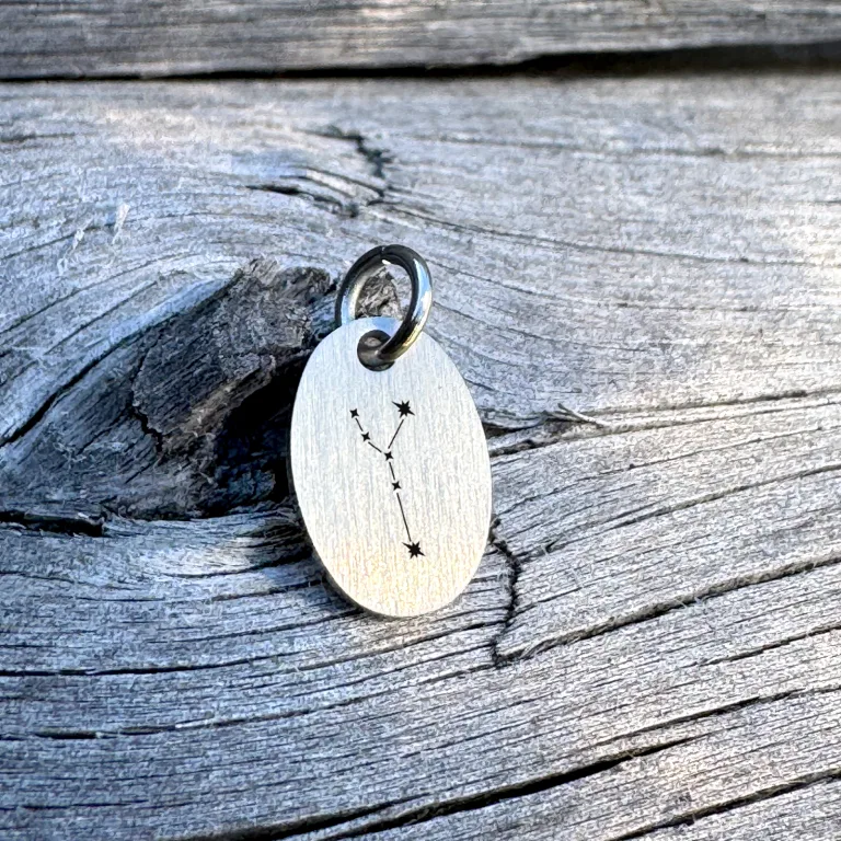 Krebsen Stjernebillede Superellipse Halskæde - Personligt Smykke fra Øndig Jewellery. Krebsen stjernebillede med eget præg